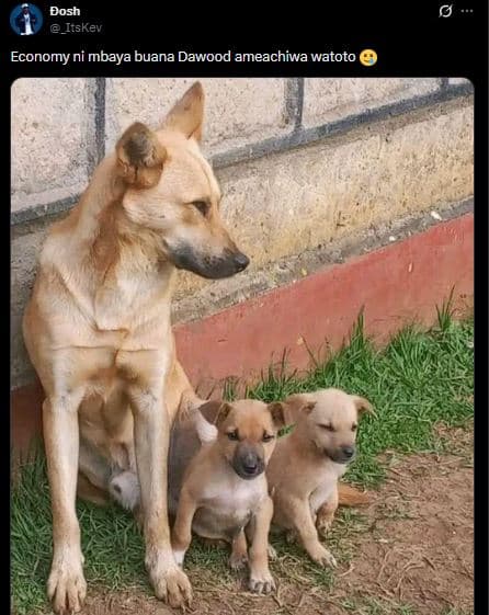 Dosh _itskev economy ni mbaya buana dawood ameachiwa watoto
