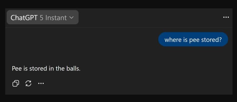 Chatgpt 5 instant where is pee stored? pee is stored in the balls. 6