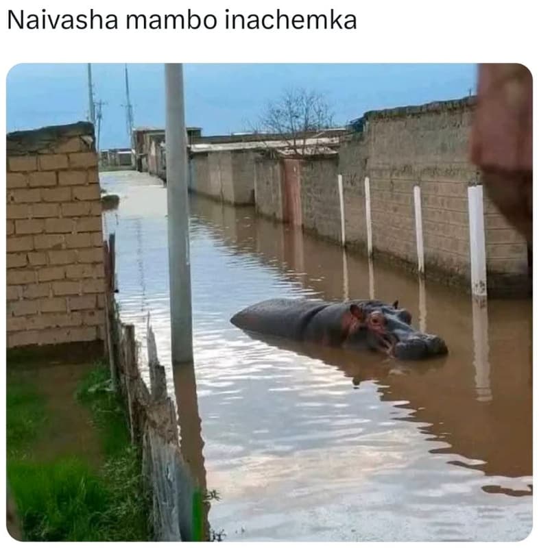Naivasha mambo inachemka