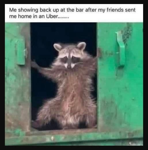 Me showing back up at the bar after my friends sent me home in an uber.