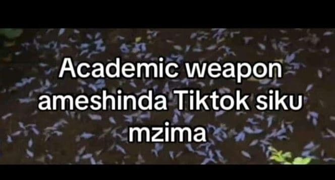 Academic weapon ameshinda tiktok siku mzima