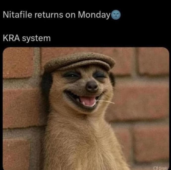 Nitafile returns on monday kra system