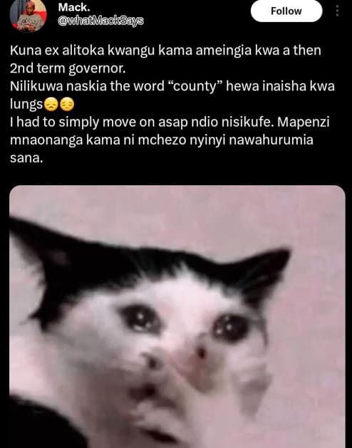 Mack whadmacksays follow kuna ex alitoka kwangu kama ameingia kwa a then 2nd ter