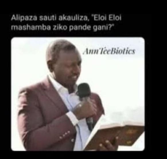 Allpaza sauti akauliza, elol elol mashamba ziko pande ganı? inn ircliotics