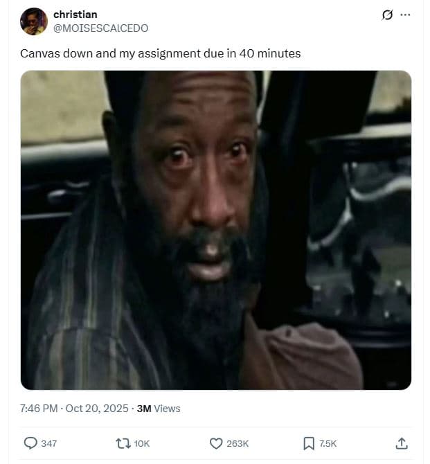 Christian moisescaicedo canvas down and my assignment due in 40 minutes 7.46 pm