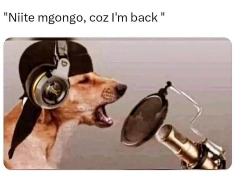 Niite mgongo coz i'm back