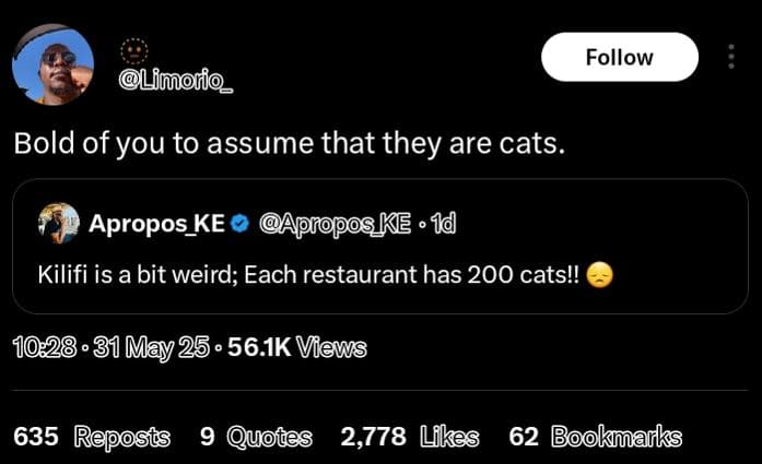 Follow limor_ bold of you to assume that they are cats_ apropos_ke aproposke 1q