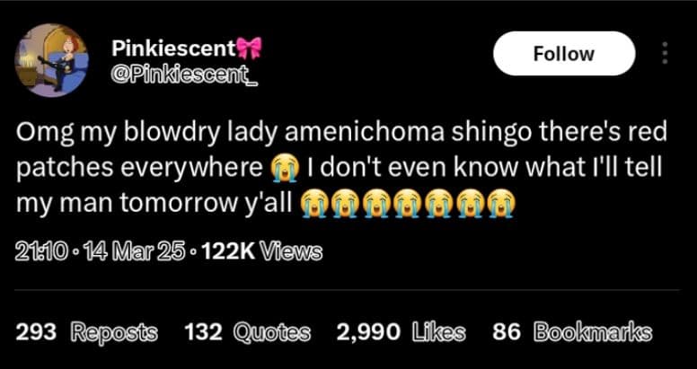 Pinkiescent pfnkiescent _ follow omg my blowdry lady amenichoma shingo there's r