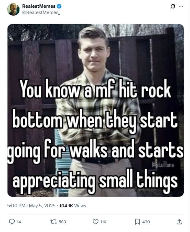 Realestmemes realestmemes_ you knowamfhit rock bottomwhen they istart going for