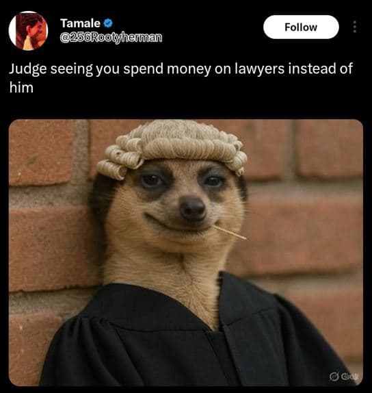 Tamale 2s6rootyhemman follow judge seeing you spend money on lawyers instead of
