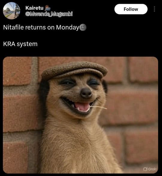 Kairetu mwende mugambi follow nitafile returns on monday kra system 0grola