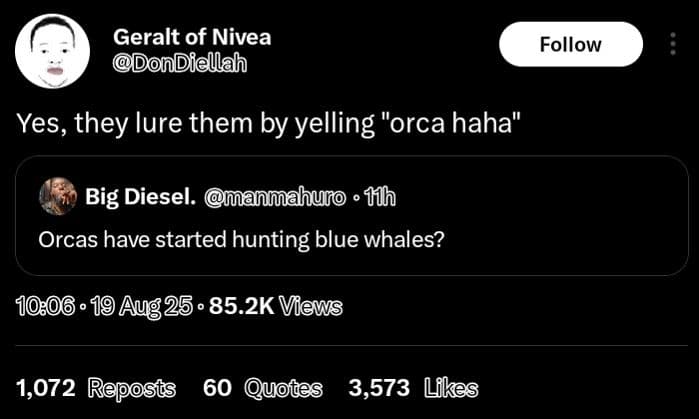 Geralt of nivea dondiellah follow yes, they lure them by yelling orca haha' big