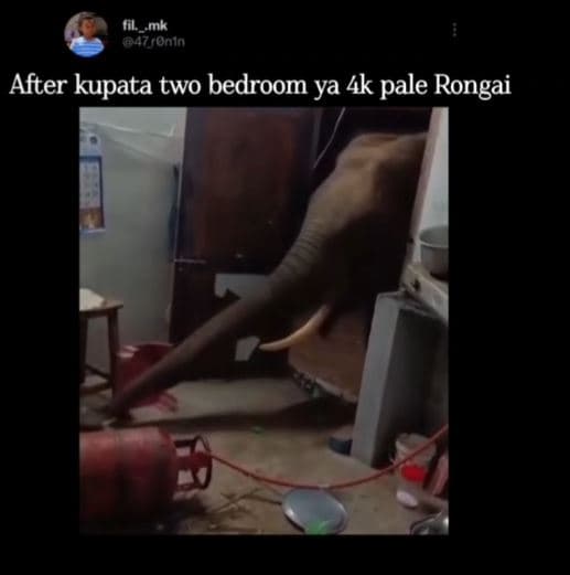 Mk td7gonin after kupata two bedroom ya 4k pale rongai