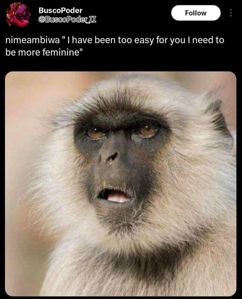 Buscopoder buscopodez ui follow nimeambiwa ihave been too easy for you need to b