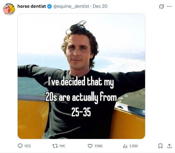 Horse dentist equine dentist dec 20 ive decided that my 20s are actualy from 253