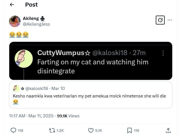 Post akileng akilengjess cuttywumpusz kaloski18 27m farting on my cat and watchi