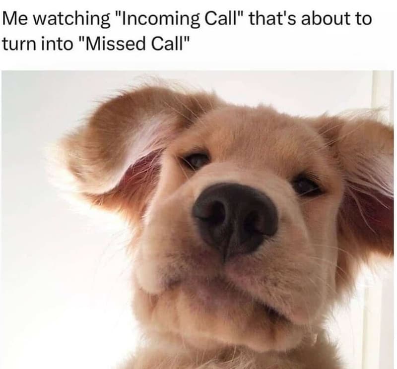 Me watching incoming call that's about to turn into missed call