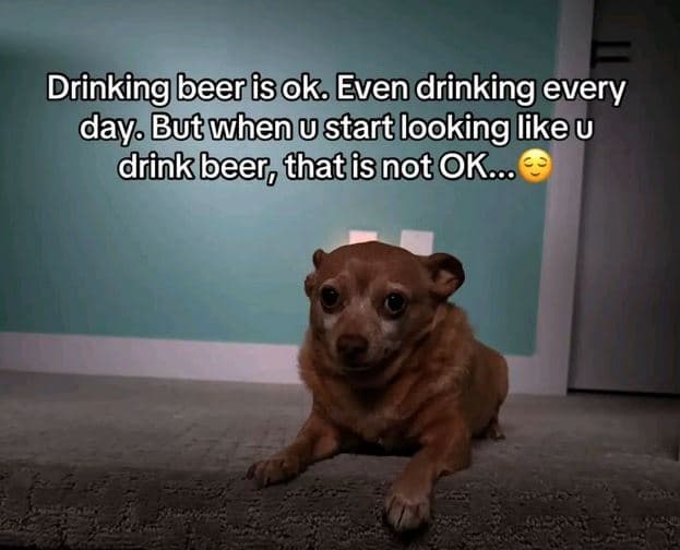Drinking beer is oks even drinking every dayol but whenu start looking like u dr