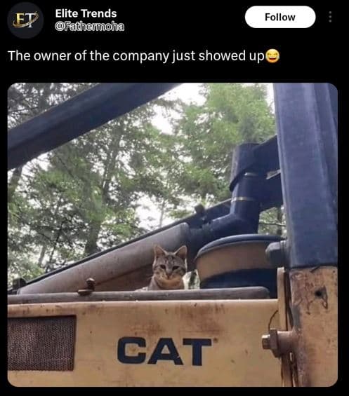 Elite trends fathermoha follow the owner of the company just showed up cat