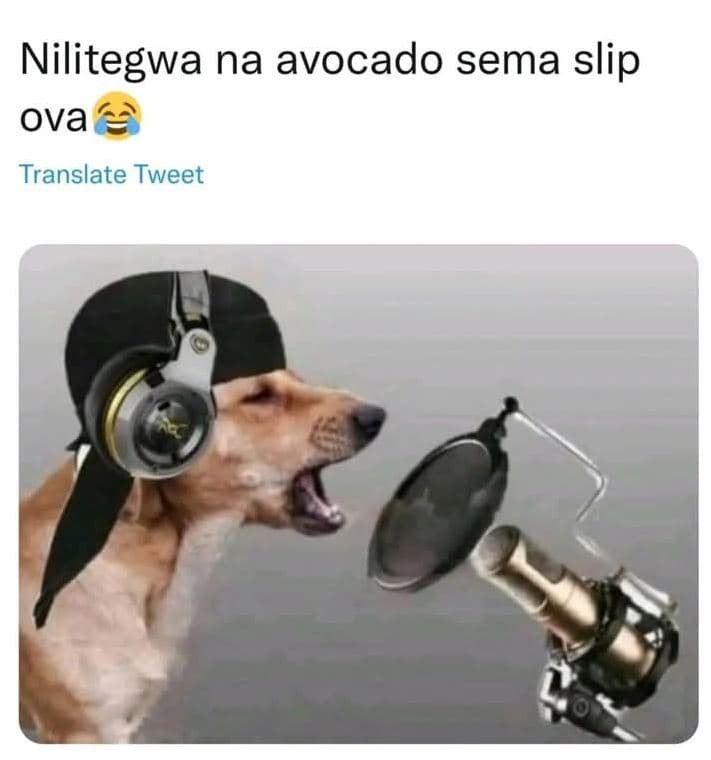 Nilitegwa na avocado sema slip ova translate tweet