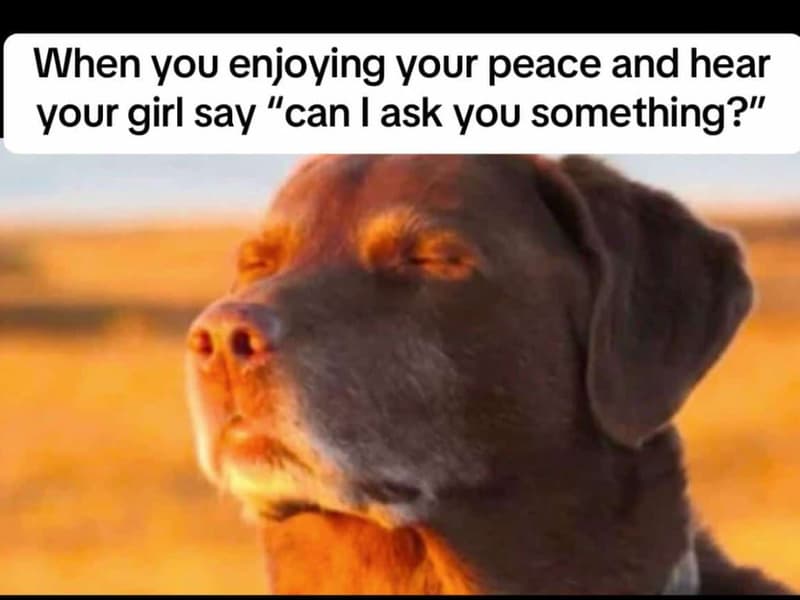 When you enjoying your peace and hear your girl say 1 'can l ask you something?