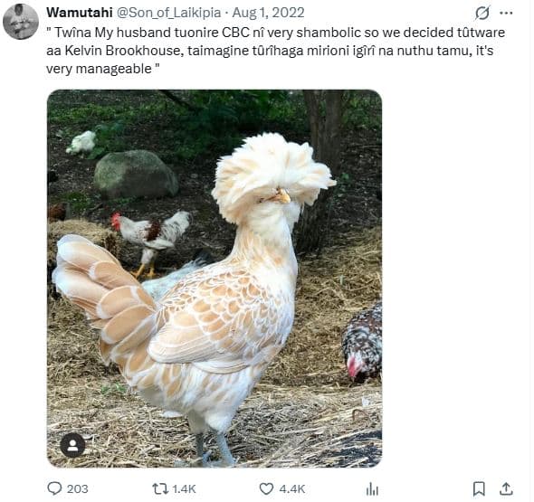 Wamutahi son_of_laikipia aug 1, twina my husband tuonire cbc nf very shambolic s