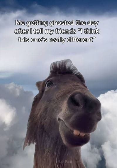 Me getting ghosted the day after tell my ftiends 9 think fhis ne?s really differ