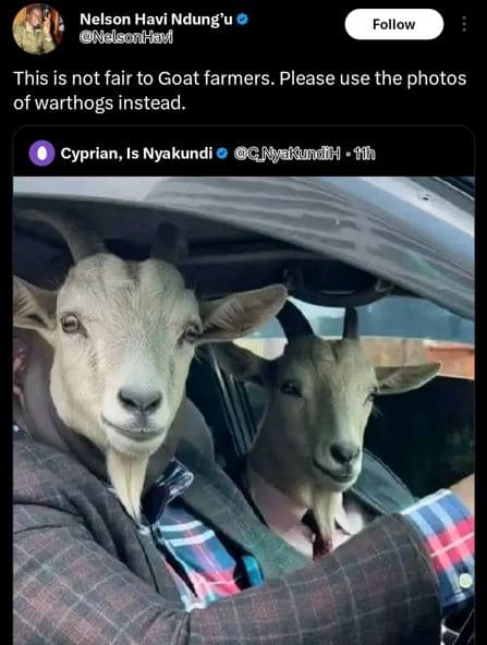 Nelson havi ndung'u nelsonhav follow this is not fair to goat farmers. please us
