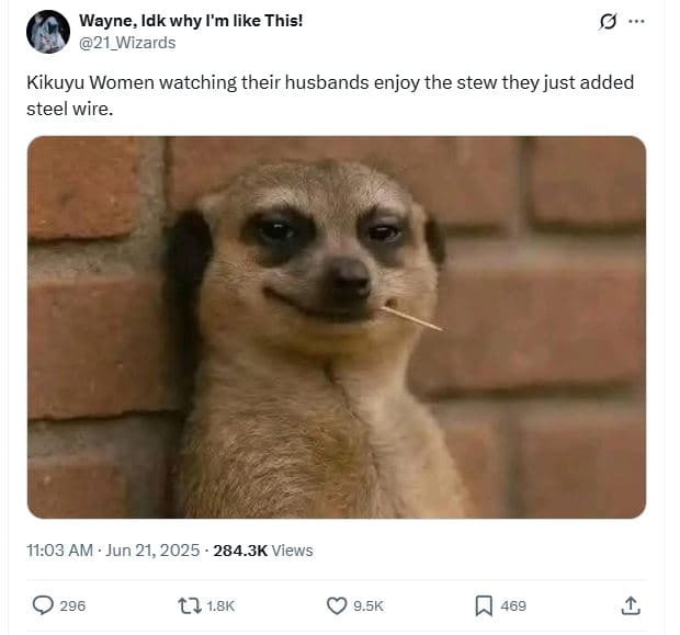 Wayne, idk why i'm like this! 21_wizards kikuyu women watching their husbands en