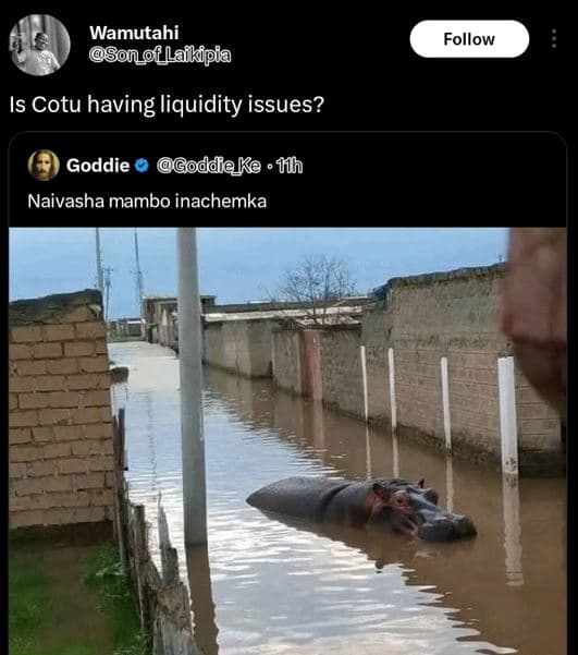 Wamutahi 8on_f_lafkipia follow is cotu having liquidity issues? goddie godde ke