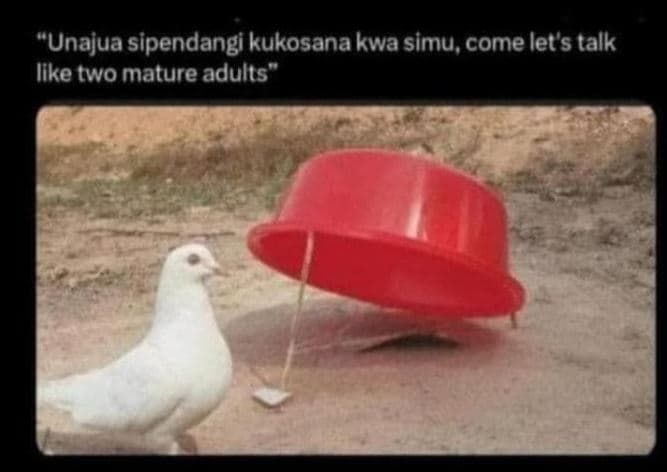 'unajua sipendangi kukosana kwa simu comelet's talk iike two mature adults