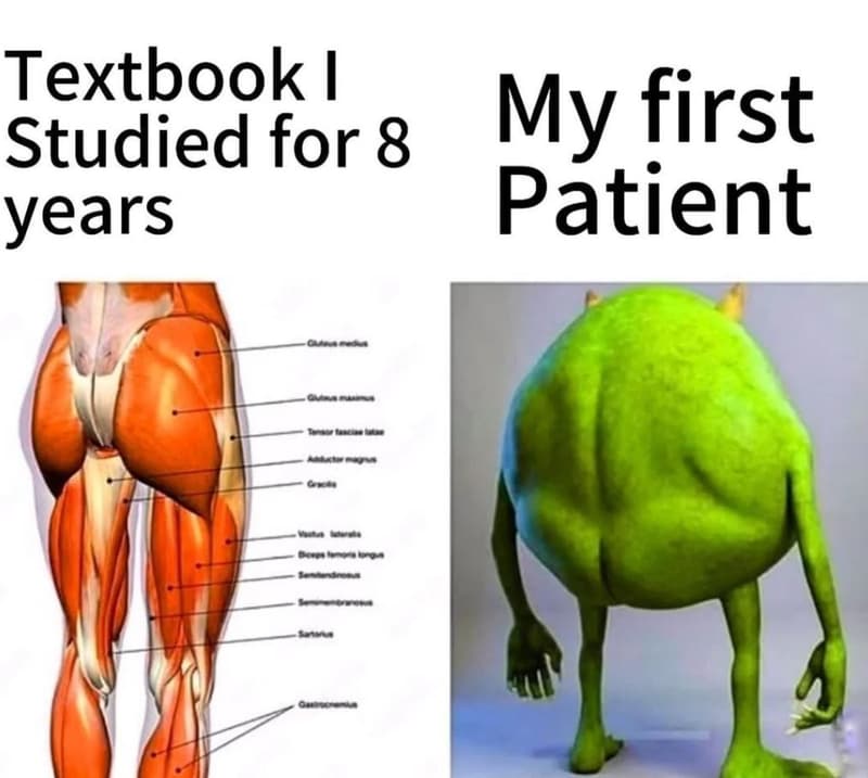 Textbook studied for 8 my first years patient