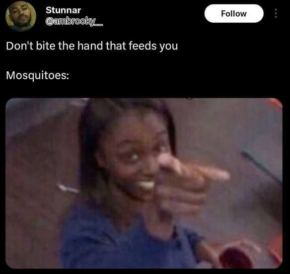 Stunnar ambrooky follow don't bite the hand that feeds you mosquitoes