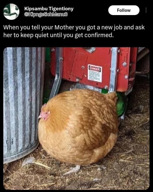 Kipsambu tigentiony kpngeddhmanus follow when you tell your mother you got a new