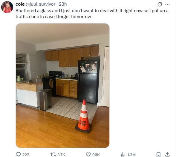 Cole juul_survivor 23h shattered glass and i just don't want to deal with it rig