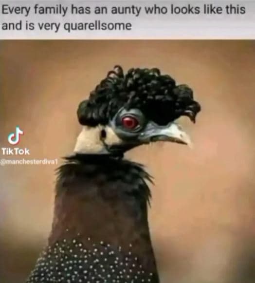 Every family has an aunty who looks like this and is very quarellsome tiktok men