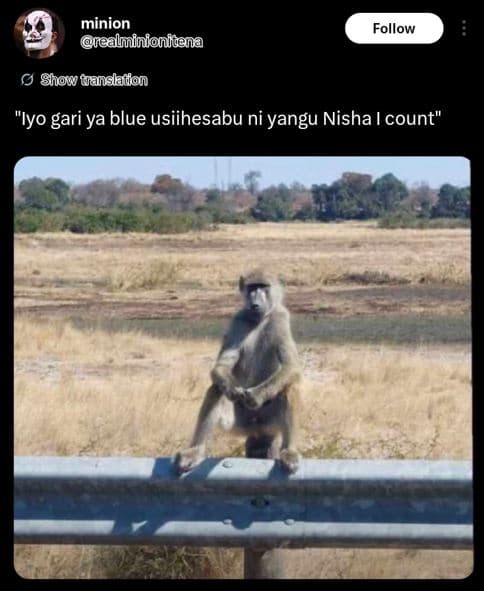 Minion alminionidana follow show tansaiion iyo gari ya blue usiihesabu ni yangu