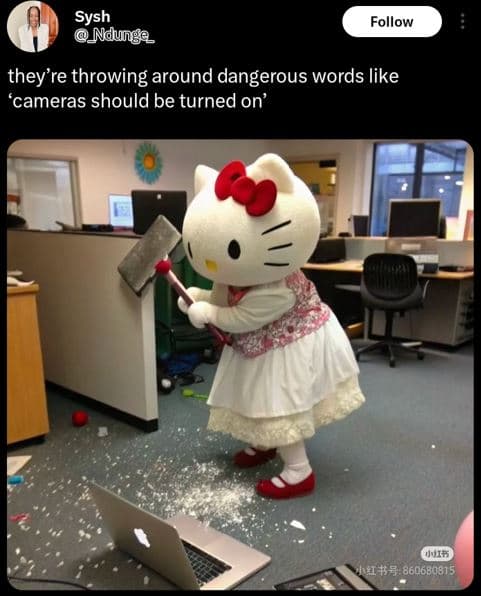 Sysh ndunge follow they're throwing around dangerous words like 'cameras should