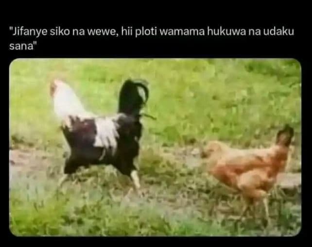 Jifanye siko na wewe, hii ploti wamama hukuwa na udaku sana