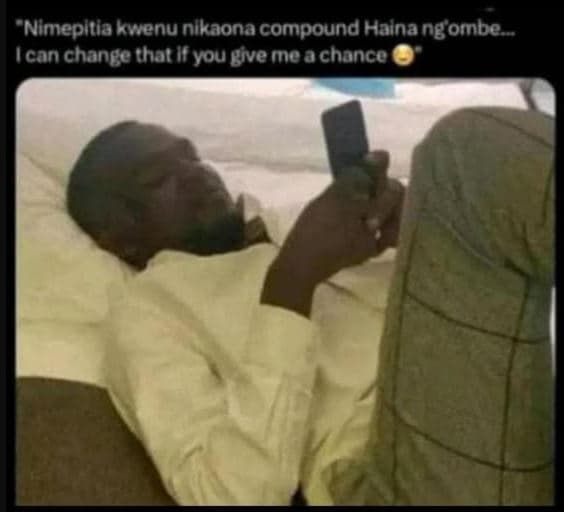 Nimepitla kvienu nlkaona compound halna ngombe can changethat you bive meachance