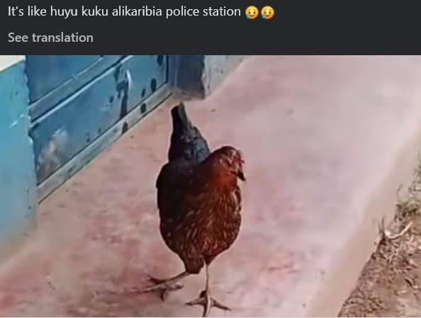 It's like huyu kuku alikaribia police station see translation