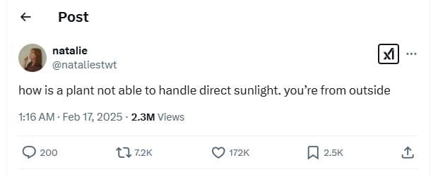 Post natalie nataliestwt how is a plant not able to handle direct sunlight. you'