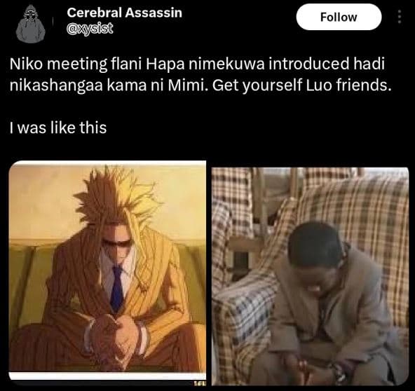 Cerebral assassin xysist follow niko meeting flani hapa nimekuwa introduced hadi