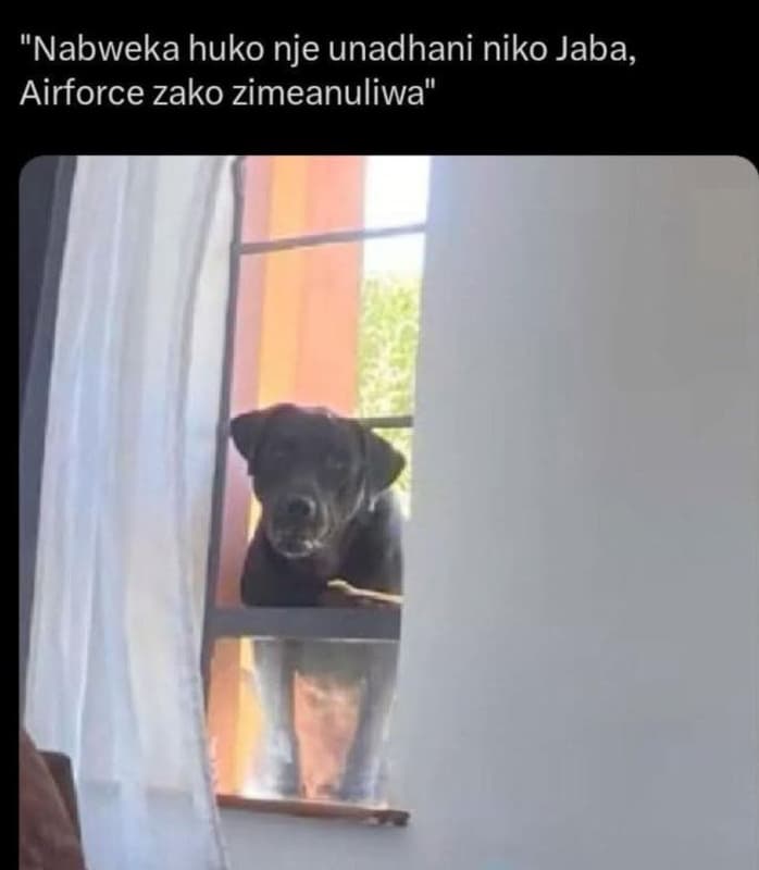Nabweka huko nje unadhani niko jaba, airforce zako zimeanuliwa