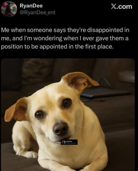 Ryandee ryandee ent x.com me when someone says they're disappointed in me and l'