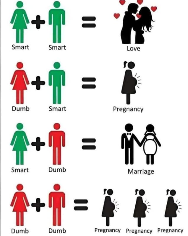Smart smart love dumb smart pregnancy smart dumb marriage dumb dumb pregnancy pr