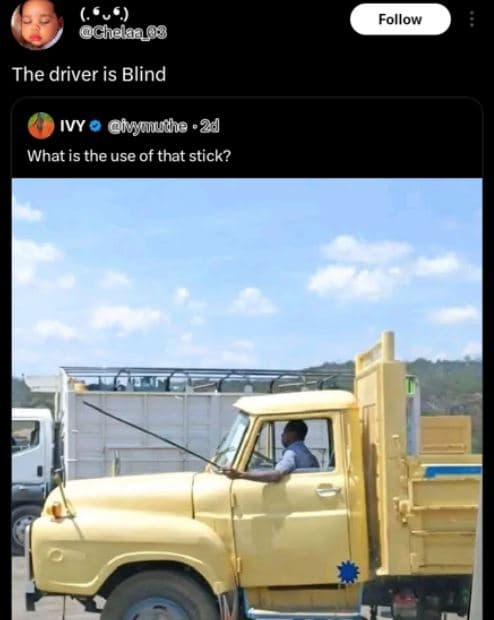 Chelaaos follow the driver is blind ivy cimutha 24 what is the use of that stick