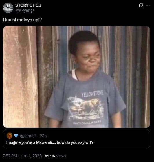 Story ofoj kpyenga huu ni mdinyo upi? p gemtaii 23h imagine youre a mswahili_, h