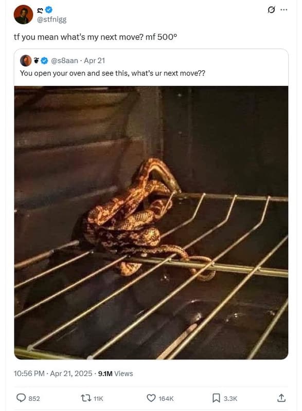 Stfnigg tf you mean what's my next move? mf s8aan apr 21 you open your oven and