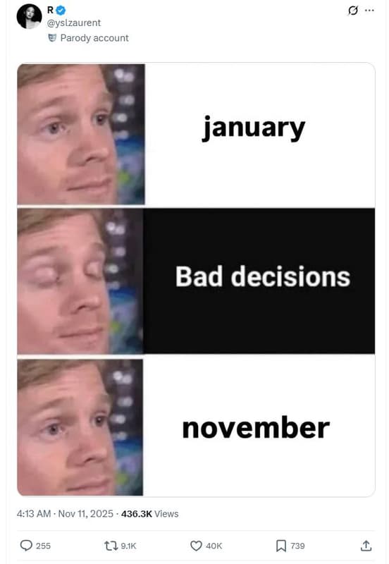 Yslzaurent parody account january bad decisions november 4.13 am nov 11, 436.3k